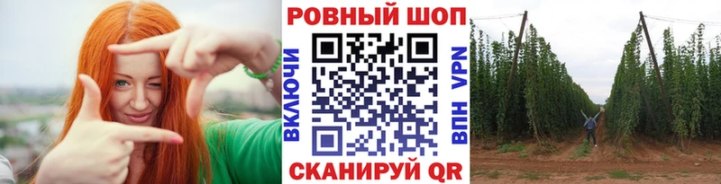 Виды наркотиков купить Камешково ГАШ Кокаин Амфетамин Конопля Меф мяу мяу СОЛЬ