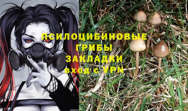 твердый Володарск