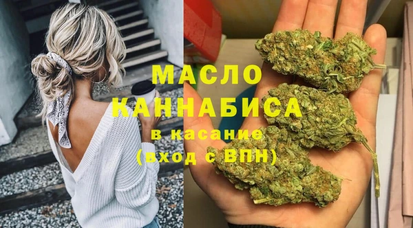 твердый Володарск
