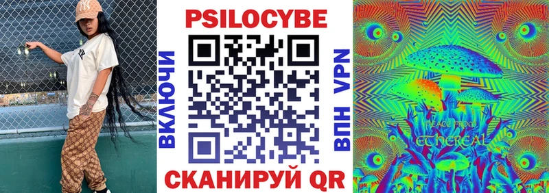 купить наркотик  мега как зайти  Псилоцибиновые грибы Cubensis  Камешково 